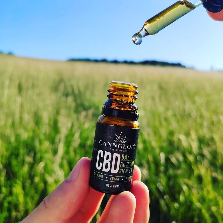 Cannglory CBD Oil 5% in the field
