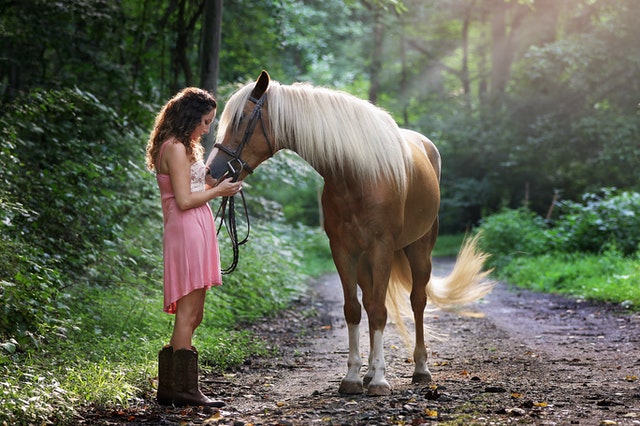 CBD oil for horses with allergies
