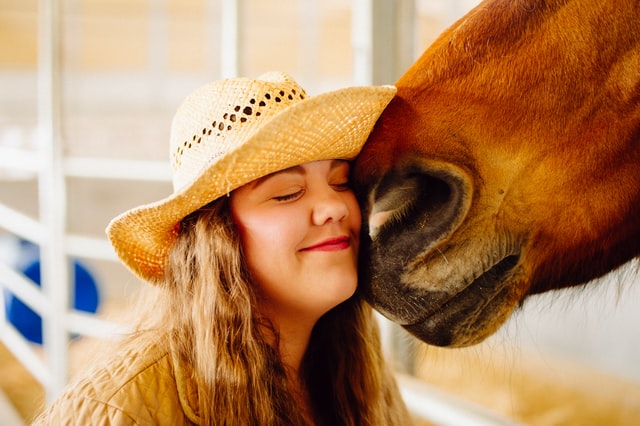 CBD oil for horses with allergies